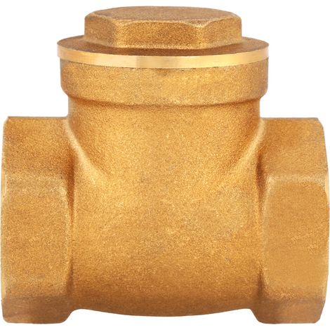 Clapet anti-retour à battant en laiton, filetage femelle DN25, 232 PSI, empêchant le refoulement d'eau. (1/5)