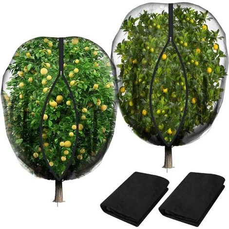 Pflanzenschutzhüllen – 2er-Pack – 180 x 180 cm – Netz mit Reißverschluss/Kordelzug – Vogelsicher/Wiederverwendbar – Schwarz (1/5)