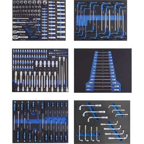 Profi Werkzeugeinlagen 520x400mm für Werkstattwagen Chrom Vanadium Stahl Werkzeugset 248 tlg. Blau (1/5)