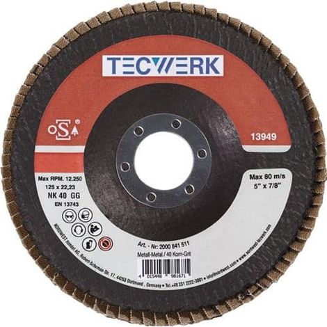 Fächerscheibe D.125mm K.120 kon.Stahl/Holz NK TECWERK (1/2)