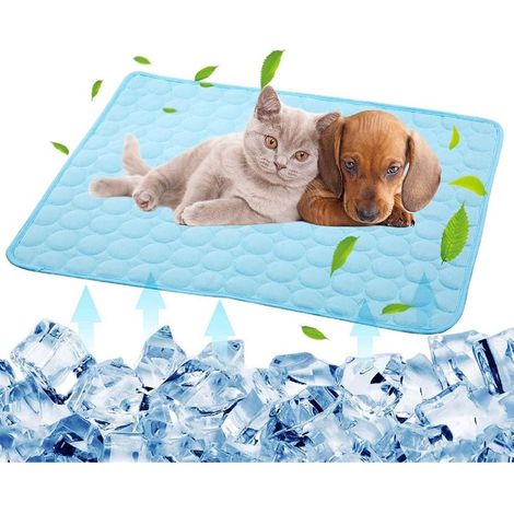 Kühlmatte für Hunde – Wasser- und stromlose Kühlung aus Nylongewebe – Für Hunde und Katzen – 70 x 100 cm – 1 Stück (1/5)