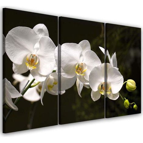 Quadri Quadro Multipannello Fiore di orchidea bianca - 60x40 (1/5)