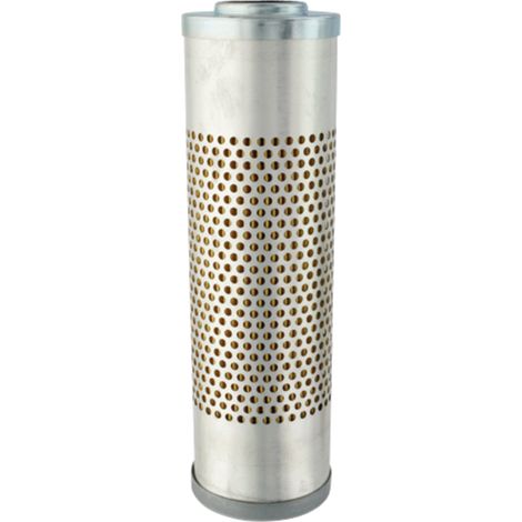Filtro olio trasmissione idraulica Fleetgu 5003648867 (1/2)