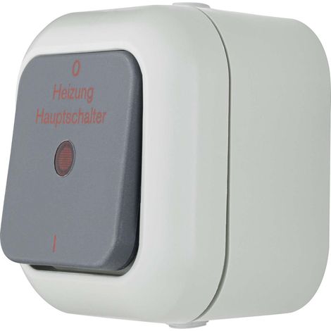 Interrupteur de chauffage pour pièces humides IP44 2 pôles Montage en saillie Gris (1/4)