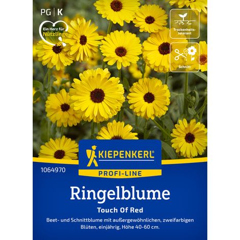 Kiepenkerl Profi-Line Blumensamen Ringelblumen Touch Of Red für ca. 80 Pflanzen