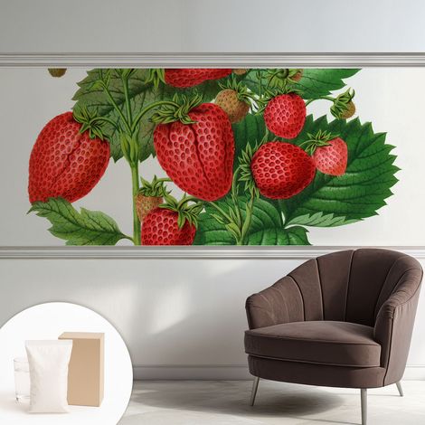 Papier peint avec colle pour décoration moderne de salon chambre à coucher cuisine et bureau Facile Fruits d'été 250x104 cm (1/5)