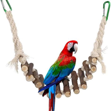 Jouets pour oiseaux, balançoire pour cage à oiseaux et perroquets, échelles pour KLB (1/5)