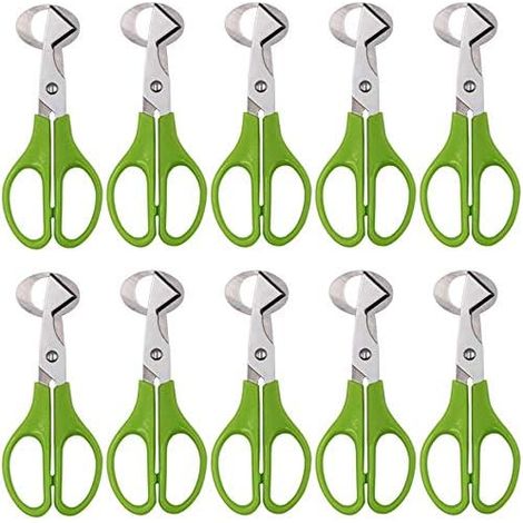 Ciseaux à œufs de caille (lot de 10), coupe-œufs en acier inoxydable (1/5)