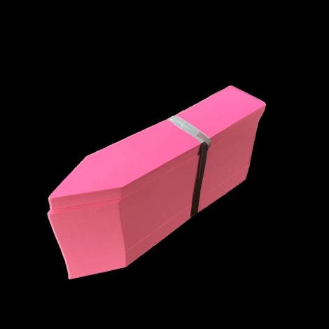 100 Pièces Étiquettes- Rose pour Plantes de Jardin en Plastique Etiquette Semis de 2x10cm (1/5)