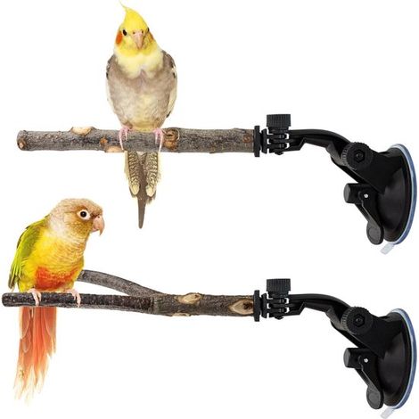 Ensemble de 2 perchoirs en bois avec ventouses, perchoir interactif en forme de branche pour le dressage des oiseaux, perchoir en bois pour petits et moyens oiseaux, perruches, pour carrelage, verre e (1/4)