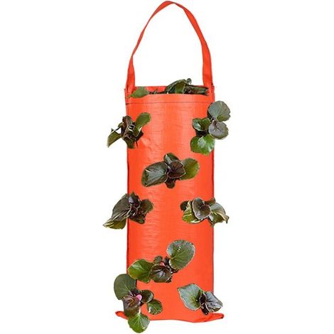 sacs de culture suspendus pour fraises, tomates, légumes, herbes, fleurs, culture verticale en intérieur et en extérieur (1/5)