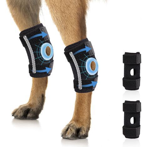 Genouillères pour chien, ceintures d'assistance aux pattes de chien, aident à soulager la pression des pattes du chien (M) (1/5)