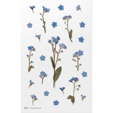 Adesivi decorativi a forma di fiore - Non ti scordar di me