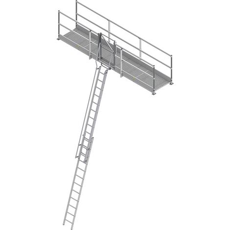 Piattaforma senza scala - PLFF250C