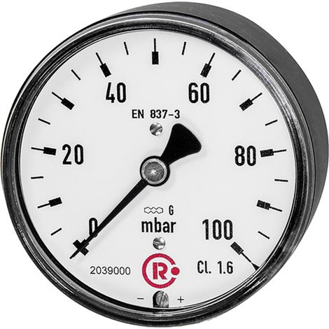 Riegler Kapselfedermanometer, G 1/4 hinten zentrisch, 0 - 60 mbar, Ø 63, 5822-R (1/2)