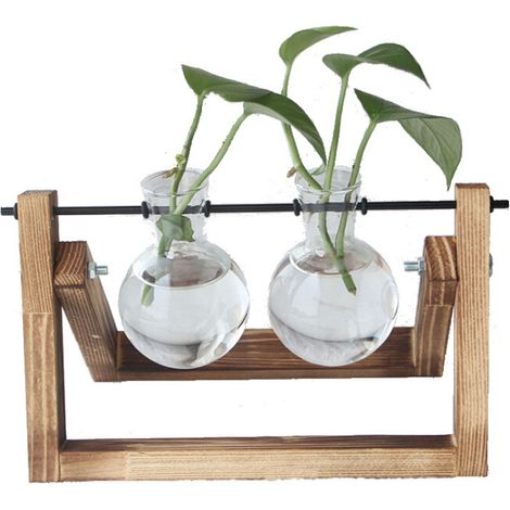 Station de multiplication des plantes avec support en bois, terrarium pour la maison, le bureau, la décoration de bureau, le mobilier de jardin, support en bois, deux bouteilles (1/5)