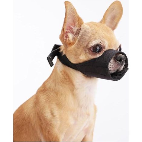 Museliere Chiens, Muselières Chiens, Chiens, Chihuahua, Shih tzu, Bouledogue Pitbull (1/5)