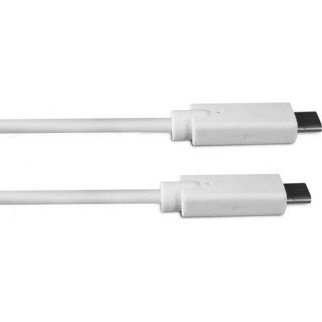 Câble USB-C mâle/USB-C mâle 1 m - blanc (1/3)