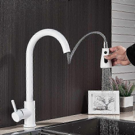 Robinet de cuisine professionnel en acier inoxydable, douchette extractible, blanc, 2025 (1/5)