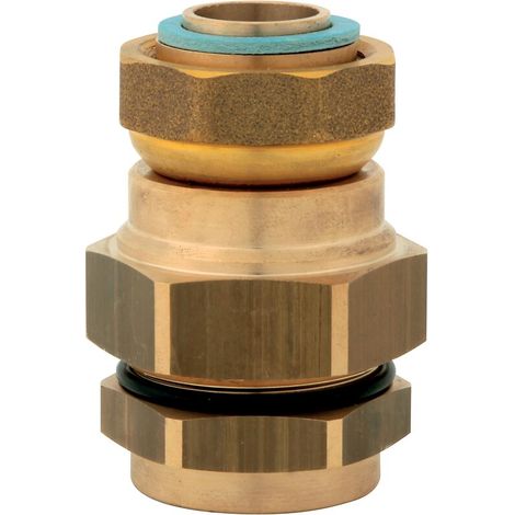 Raccord FlexiCLIC DN20 écrou tournant Femelle 3/4" JPG (1/5)