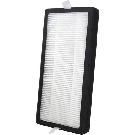 Filtro HEPA Homedics AP-Dt10Flr