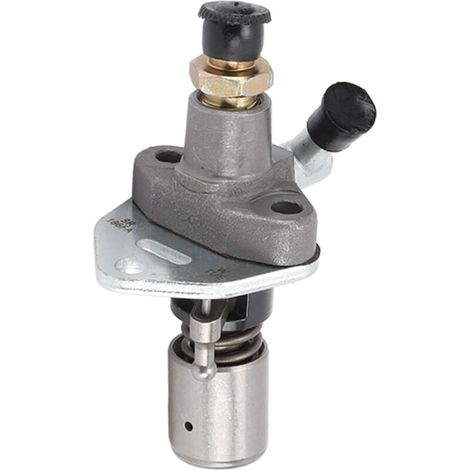 Jeffergarden Pompe d'injection de carburant pour groupe électrogène diesel 186FA en fonte avec buse d'huile droite, accessoire pour moteur refroidi par air, pour mise à niveau