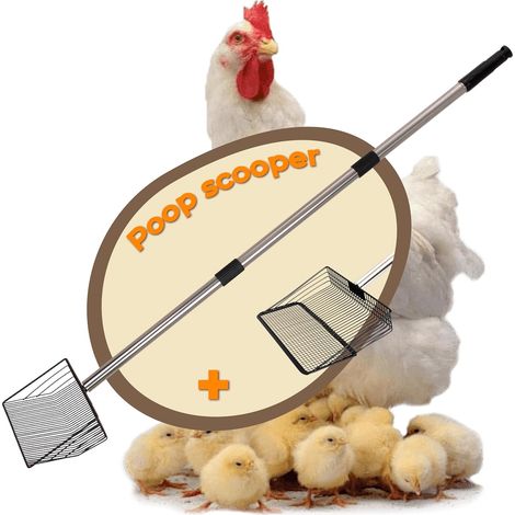 Pelle à fumier de poules avec 2 têtes de pelle, pelle tamis en acier inoxydable de 25 cm de large, pelle télescopique 50–180 cm, accessoires pour poulailler adaptés aux chevaux, porcs et petits animau (1/5)