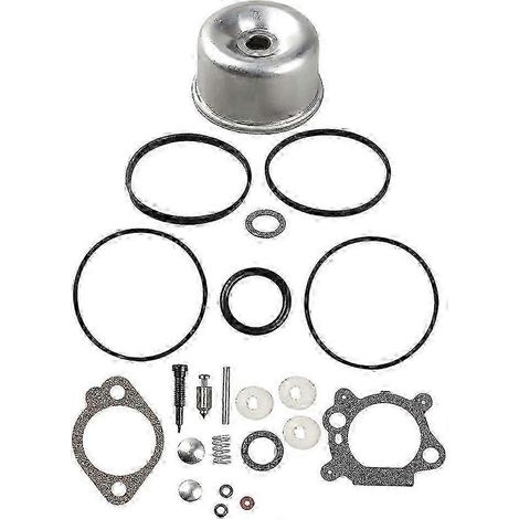 Kit de révision pour carburateur (joint torique, bague d'étanchéité de cuve de flotteur) 493762 498260, compatible avec les modèles 796611, 493640, 398191, 492495, 20-141-1 et 20-141 Carb Lawn Mover E (1/5)