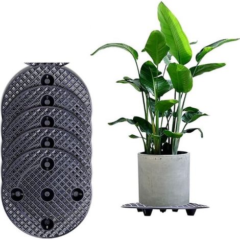 Soporte para plantas，esterilla de jardinería，rejilla para bonsáis，soporte para macetas，patas para macetas，Almohadilla de red，Juego de 5，20 cm (1/5)