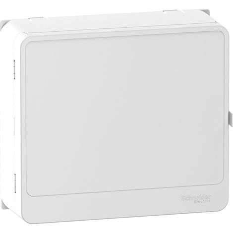 Schneider Electric – Porte de coffret électrique 13 modules – Protection contre la poussière et les chocs – Intégration dans goulottes GTL Resi9 – Compatible avec panneaux Resi9