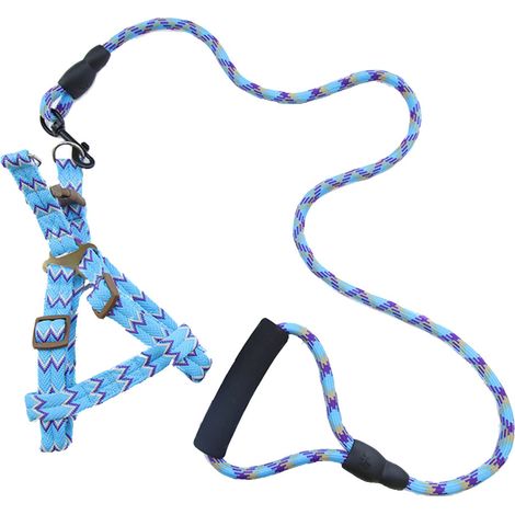 Colliers, harnais et laisses pour chiens de petite et grande taille (bleu, 0,6 x 120 cm) (1/3)