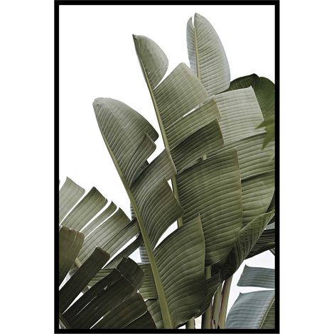 Affiche encadrée feuilles tropicales vertes minimalistes