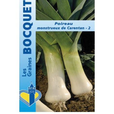 Poireau 'Monstrueux de Carentan' le sachet de 500 graines (2g) (1/2)