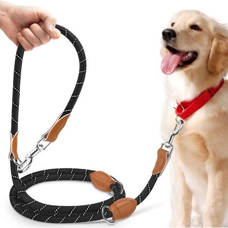 Laisse Réglable 3 m, Laisse Multifonctionnelle 3 Points pour 2 Chien, Longe avec Fils Réfléchissants pour Chien de Petite à Grande Taille pour Promenade, Dressage, Entraînement (1/5)