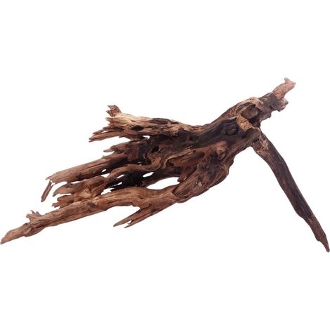 XL Driftwood Flußwurzel Nr.4924 Holz Deko Aquascaping