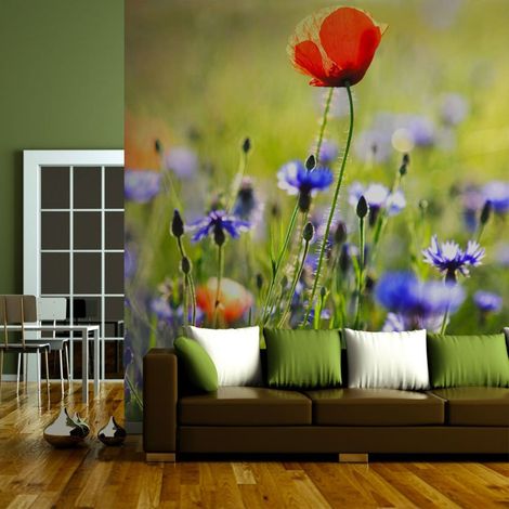 Papier peint coquelicot des prairies entouré de bleuets - 400 x 309 cm (1/4)