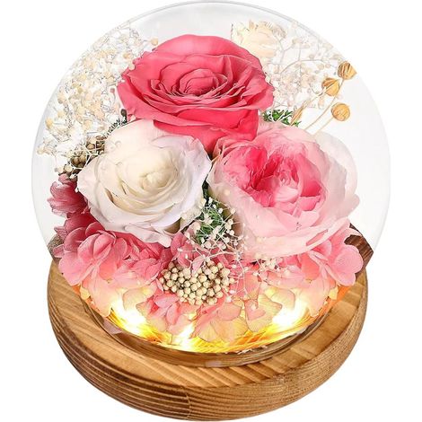 Fleurs éternelles sous cloche en verre avec lumière LED, bouquet de roses fraîches et immortelles présenté dans un coffret cadeau, cadeau idéal pour une femme ou une maman à l'occasion d'un anniversai (1/5)