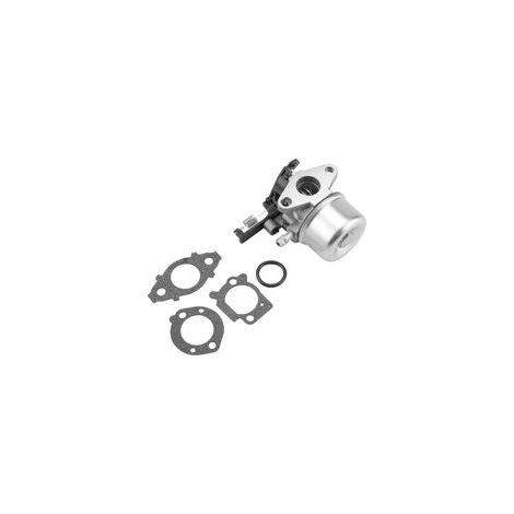Carburateur pour moteurs Briggs & Stratton 591137, 590948, 111P02 et 121Q02 (1/5)