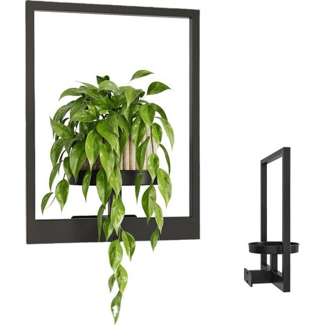 Support en métal pour plantes noir mural, d'intérieur, cadre photo mural pour plantes décoration murale, pot non inclus (1/5)
