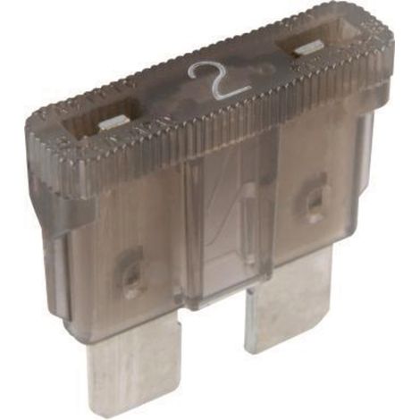 Fusibili piatti standard 32V 2A 19,05x18,54mm grigi 50 pezzi (1/2)