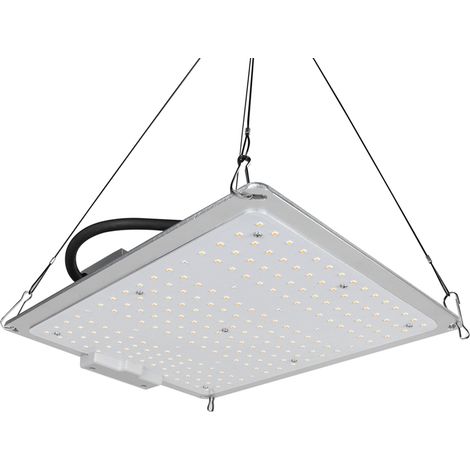 Lampe horticole 100 W à spectre complet avec 220 LED pour serre et jardin - Prise US 100-277 V (1/5)