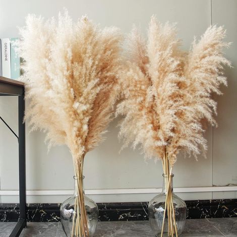 40 Pouces Décoration de Hautes Herbes de Pampas Naturelles avec 10 tiges. Parfait pour Les Mariages, Les fêtes, Les fermes et la décoration bohème à Domicile (1/5)