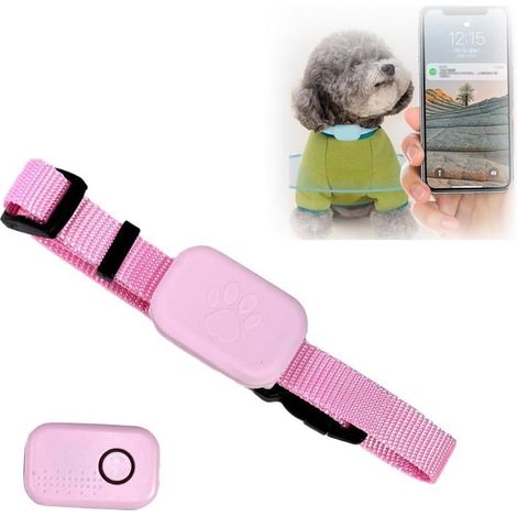 GPS Chat Tracker, Idéal pour Chiens et Chats de Petite et Moyenne Taille, pour Apple Find (Compatible avec iOS/Android), Ros CHASSE (1/5)