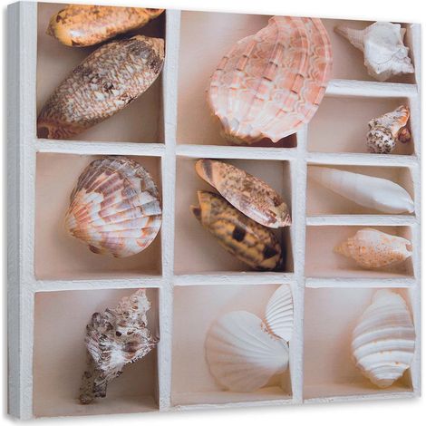 Tableau sur toile Coquillages Nature Collage 40x40 (1/5)