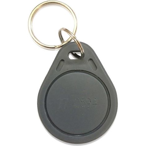 Lot de 200 porte-clés RFID à capteur de proximité 26 bits compatibles Wiegand ISOProx 1386 1326 H10301 (1/3)