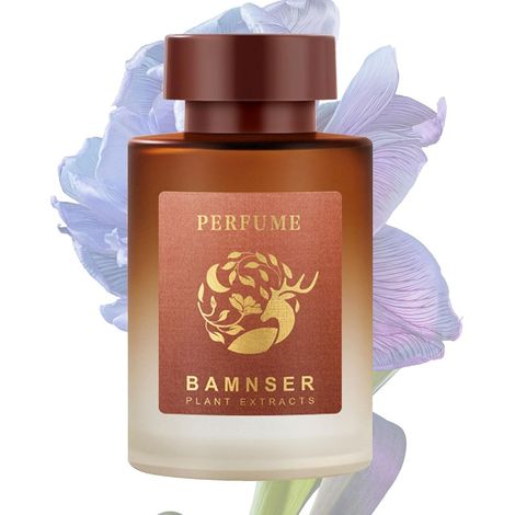 Bouteille de parfum de voiture, diffuseur d'huile parfumée de voiture de 153,4 g Huile végétale naturelle de ménage longue durée sans fil pour aromathérapie pour toilettes (1/5)