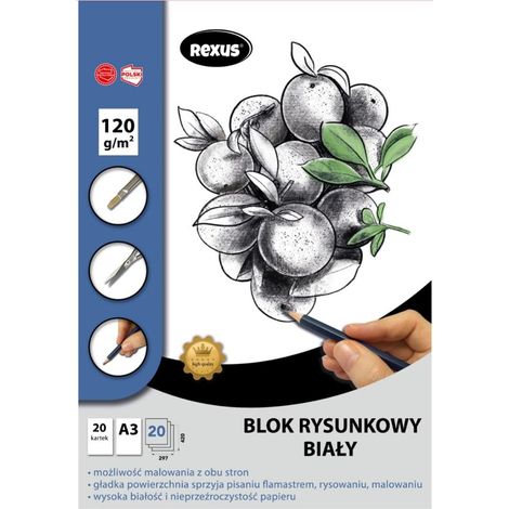 Blocco da disegno A3/20K bianco Premium