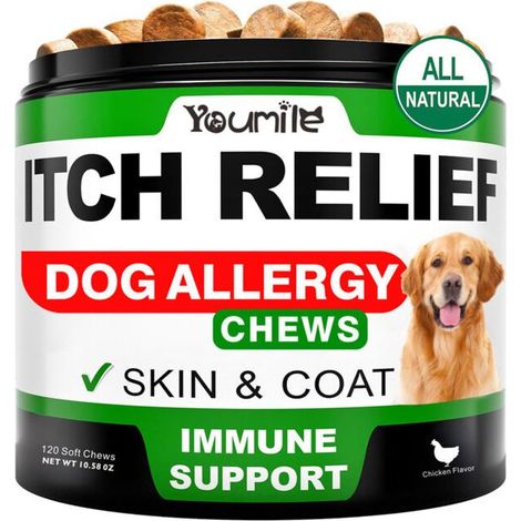 Comprimés contre les allergies pour chiens