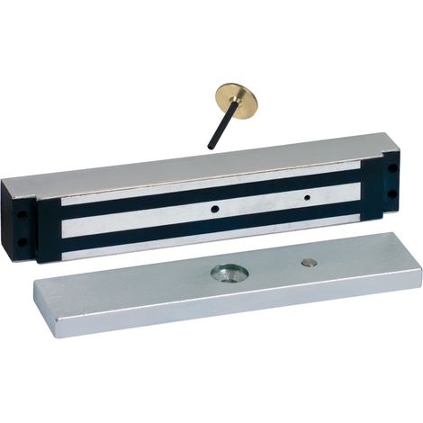 Sewosy EF30035ENCCTC Ventosa empotrable aluminio 300 Kg
