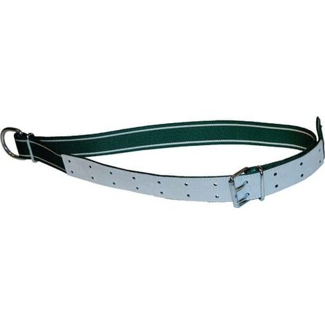 Collare 150x5cm con anello ovale e anello a D'Standard UNIVERSALE 803015KR